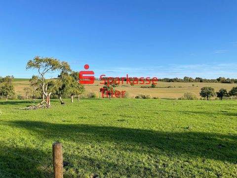 Newel Grundstücke, Newel Grundstück kaufen