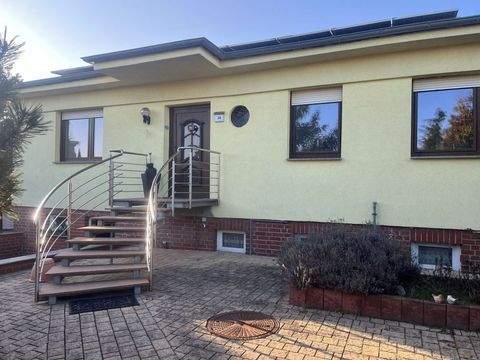 Torgau Häuser, Torgau Haus kaufen