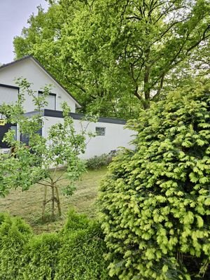 Vorgarten 