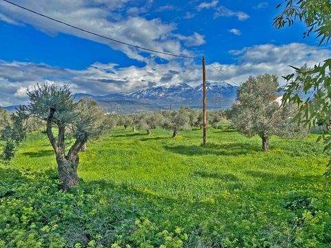 Kreta Bauernhöfe, Landwirtschaft, Kreta Forstwirtschaft