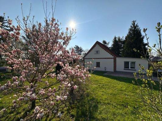 Haus- und Grundstücksansicht