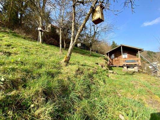 Garten mit Gartenhaus