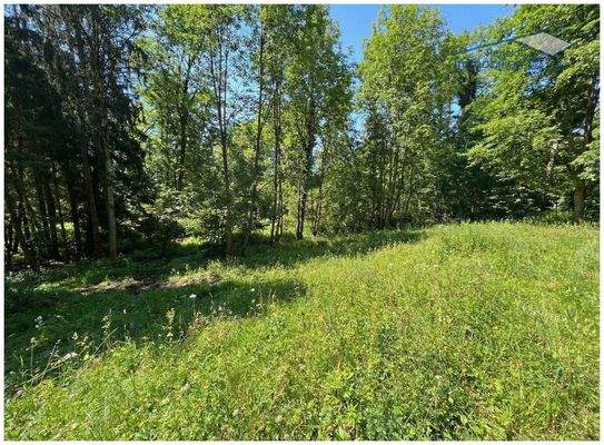 Einzigartiges Grundstück