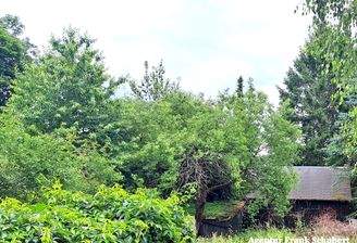 Grundstücksfläche 0.jpg