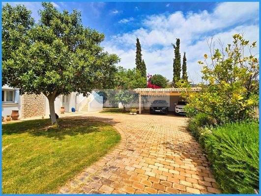 93a9096972cf4031b47fed96631f8864-original