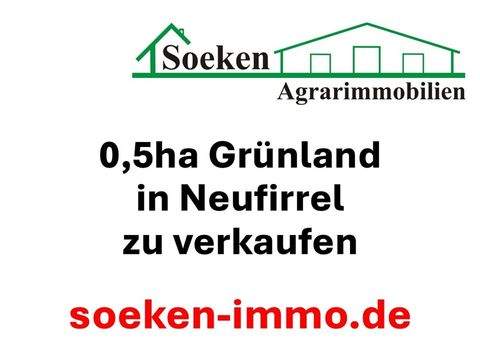 Uplengen Bauernhöfe, Landwirtschaft, Uplengen Forstwirtschaft
