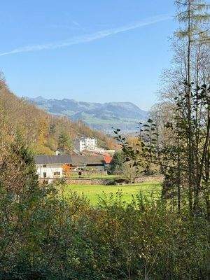 Grundstück von Oben