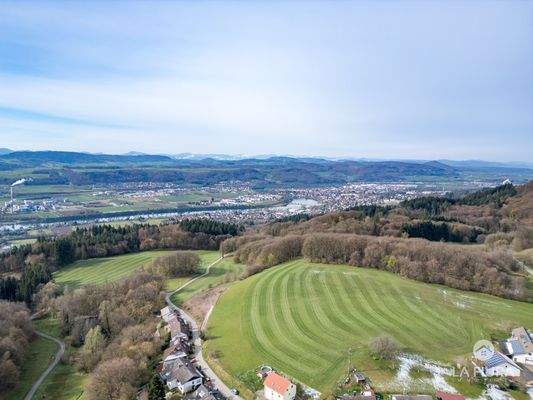 Blick von Rippolingen zum Rhein