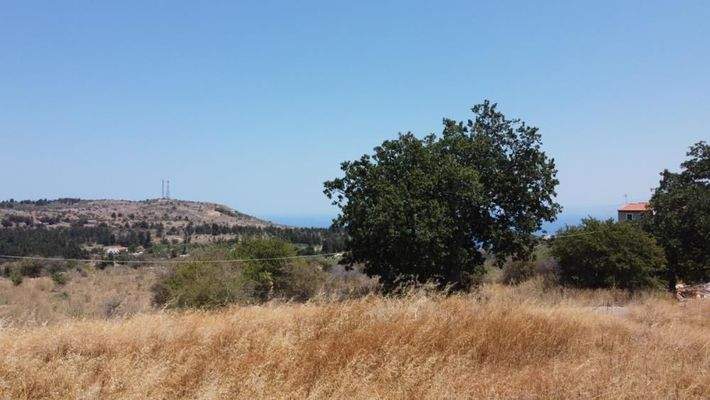 Kreta, Sellia im Apokoronos: Grundstück mit Meerblick in Sellia zu verkaufen