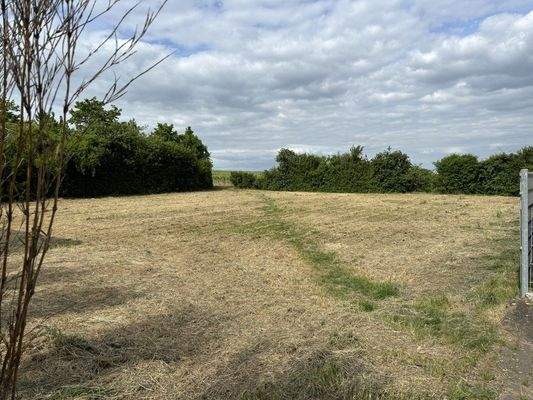 Die Planung kann bald starten