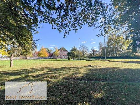 Gepflegtes Grundstück