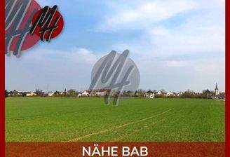 INFOS UNTER: 06171-586000