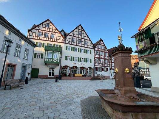 Vermietete Eigentumswohnung