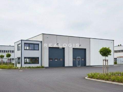 Ettlingen Halle, Ettlingen Hallenfläche