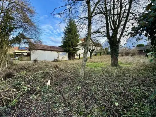 0a77ffb8-9068-4720-a7fb-4a6522c74623-1940483841.we