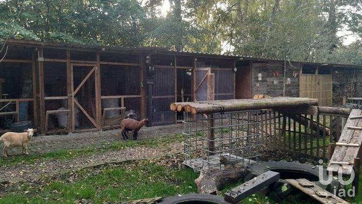 Kleintiergehege Bild II