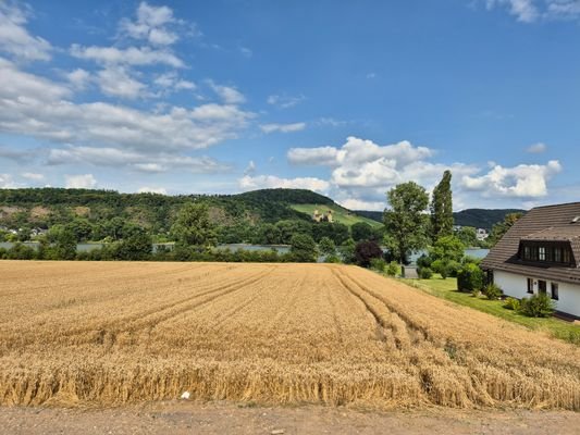 Ausblick vom Balkon