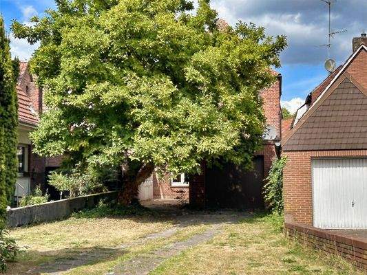 Zufahrt Garage mit Garten