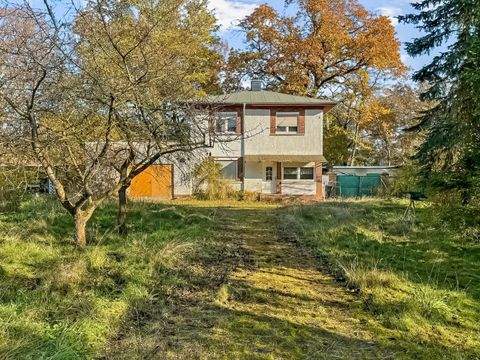 Lutherstadt Wittenberg Häuser, Lutherstadt Wittenberg Haus kaufen