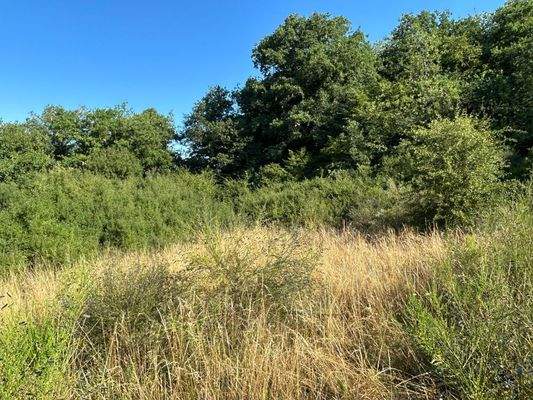 Grundstück Ansicht 2