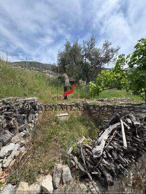 WhatsApp Image 2025-05-11 at 11.23.45-17.jpeg