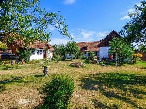 Ivanic-City Bauernhöfe, Landwirtschaft, Ivanic-City Forstwirtschaft
