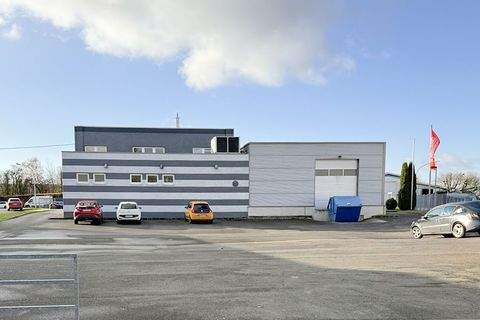 Rosdorf Halle, Rosdorf Hallenfläche