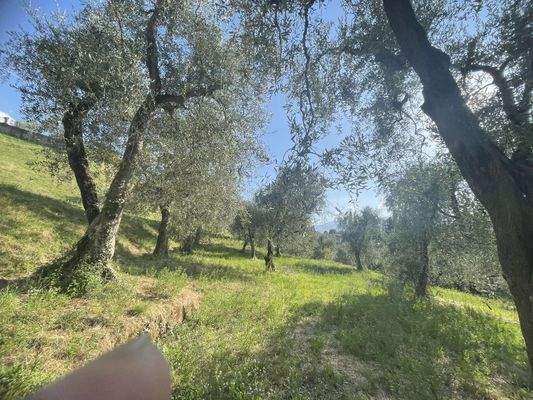 IMG_9635 - 1K JPEG.jpg