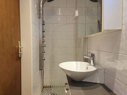 Bathroom with daylight and shower