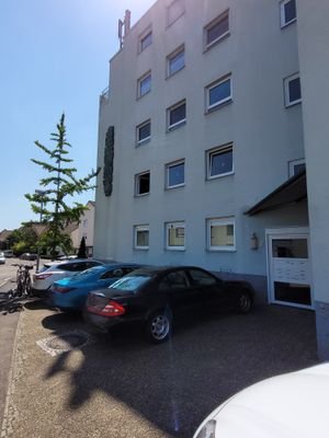 Hausfrontale