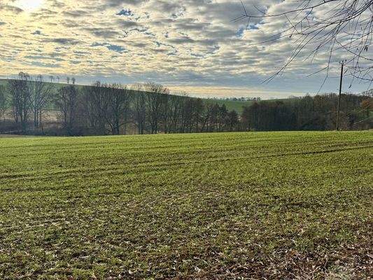 verpachtetes Grundstück