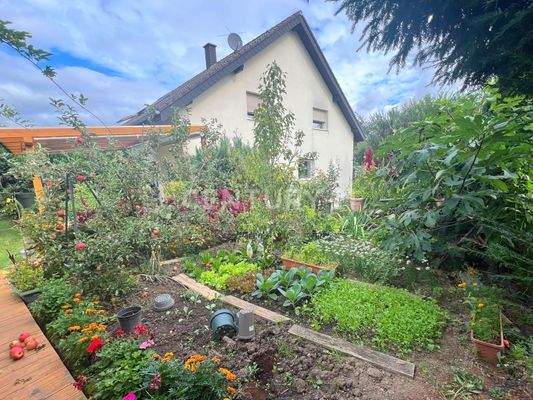 Naturliebhaber aufgepasst! Großer Nutzgarten