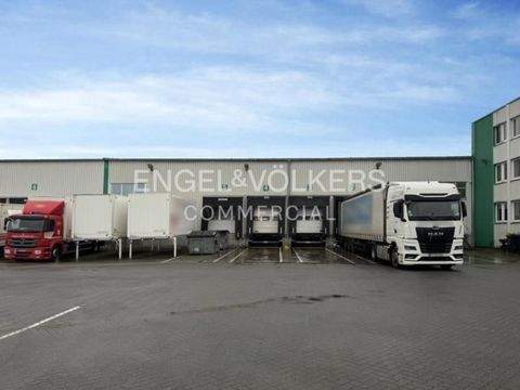 Bremen Halle, Bremen Hallenfläche