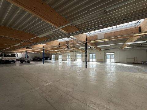 Heidenheim an der Brenz Halle, Heidenheim an der Brenz Hallenfläche