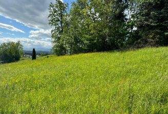 Grundstück nach Süden