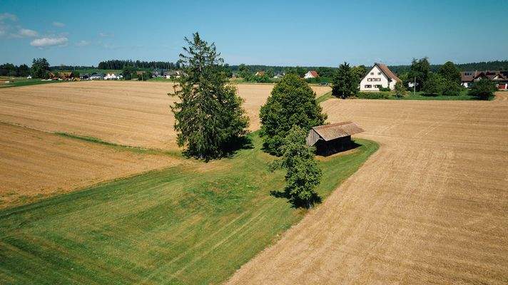Objektansicht mit Grundstück 
