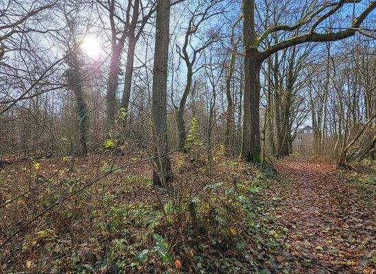 Haus kaufen in Kayhude am Wald 2