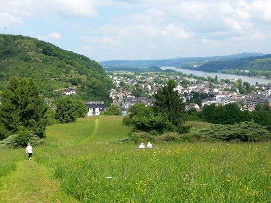 Blick vom Naherholungsgebiet Fichtel