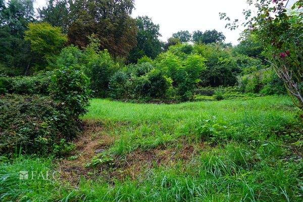 Rückseite Grundstück