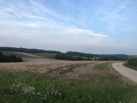 Au in der Hallertau Bauernhöfe, Landwirtschaft, Au in der Hallertau Forstwirtschaft