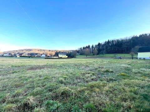 Feldbach Grundstücke, Feldbach Grundstück kaufen