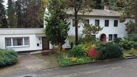 Steinach Häuser, Steinach Haus kaufen