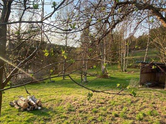 myGWKt4g - Kopie.jpeg