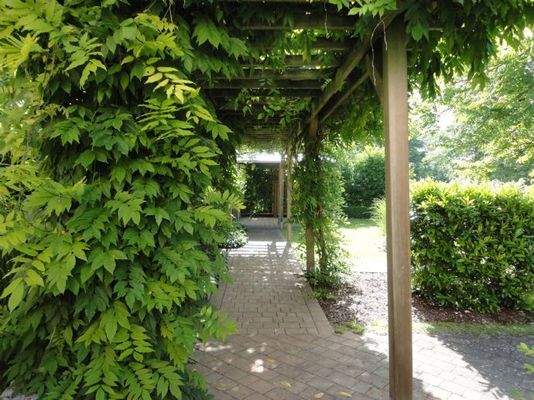 gepflasterter Weg zum Grillplatz