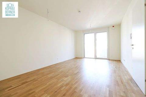 St. Pölten Wohnungen, St. Pölten Wohnung kaufen