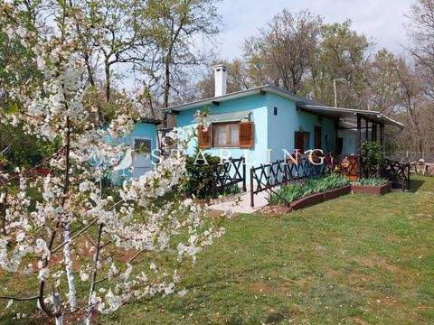 Centar, Loborika Häuser, Centar, Loborika Haus kaufen