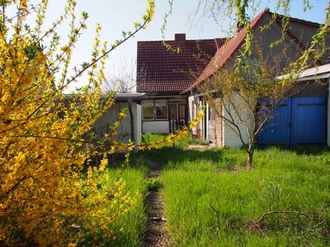 Frankfurt (Oder) Häuser, Frankfurt (Oder) Haus kaufen