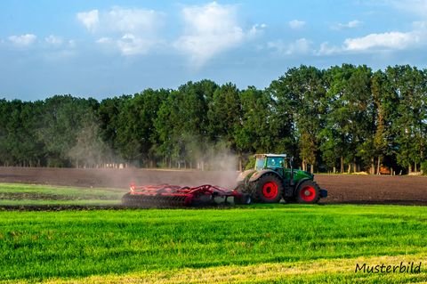 Teterow Bauernhöfe, Landwirtschaft, Teterow Forstwirtschaft