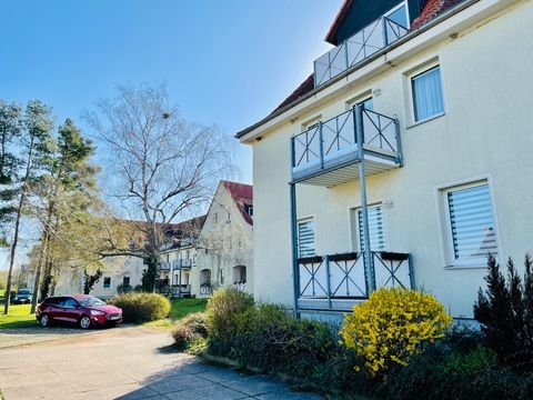 Wanzleben-Börde Wohnungen, Wanzleben-Börde Wohnung mieten