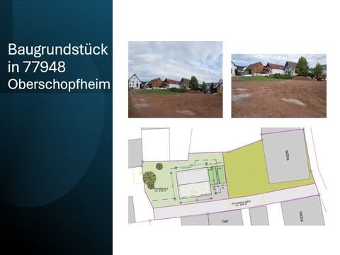 Friesenheim Grundstücke, Friesenheim Grundstück kaufen